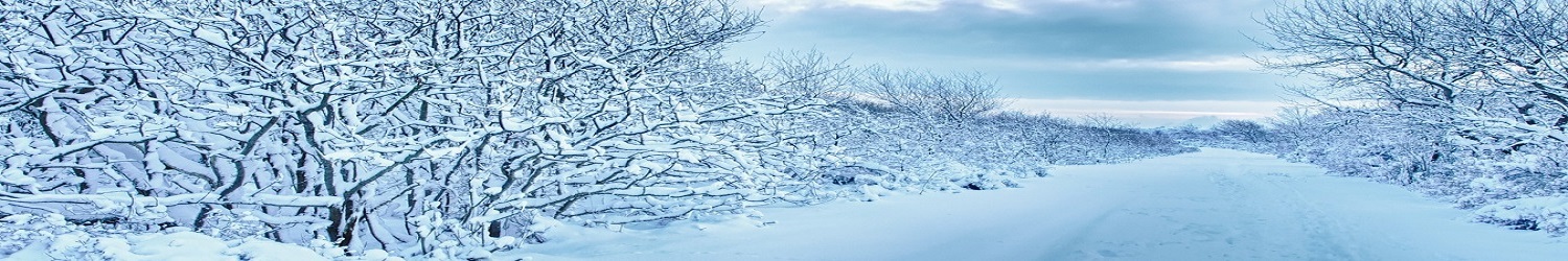 Snowy Mountain