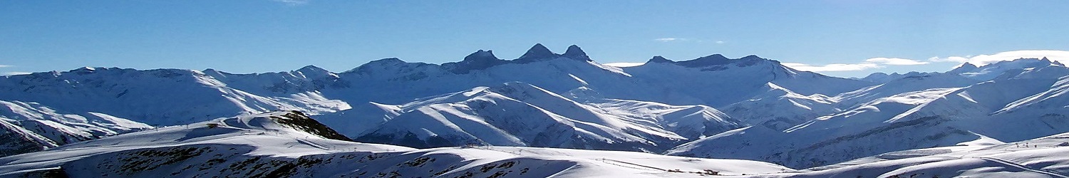 Snowy Landscape